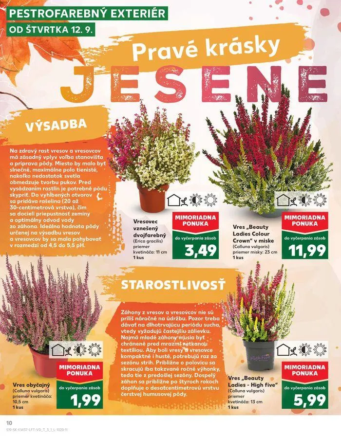 Leták: Exkluzívne výhodné ponuky od 12. septembra do 18. septembra 2024 - Prehľad Stránky 10