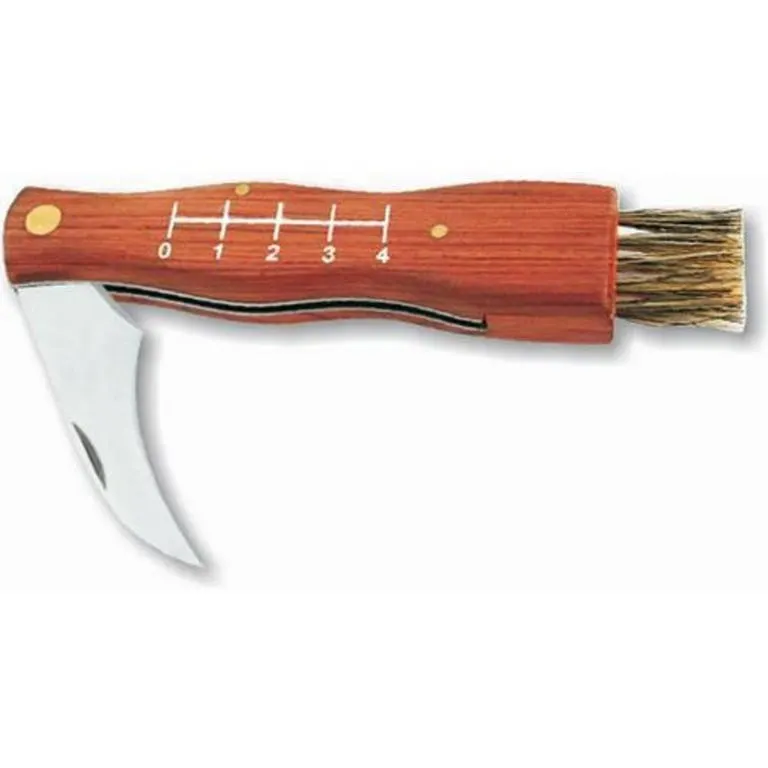 Nôž zatvárací vreckový hubársky Strend Pro MK003, 140/210mm