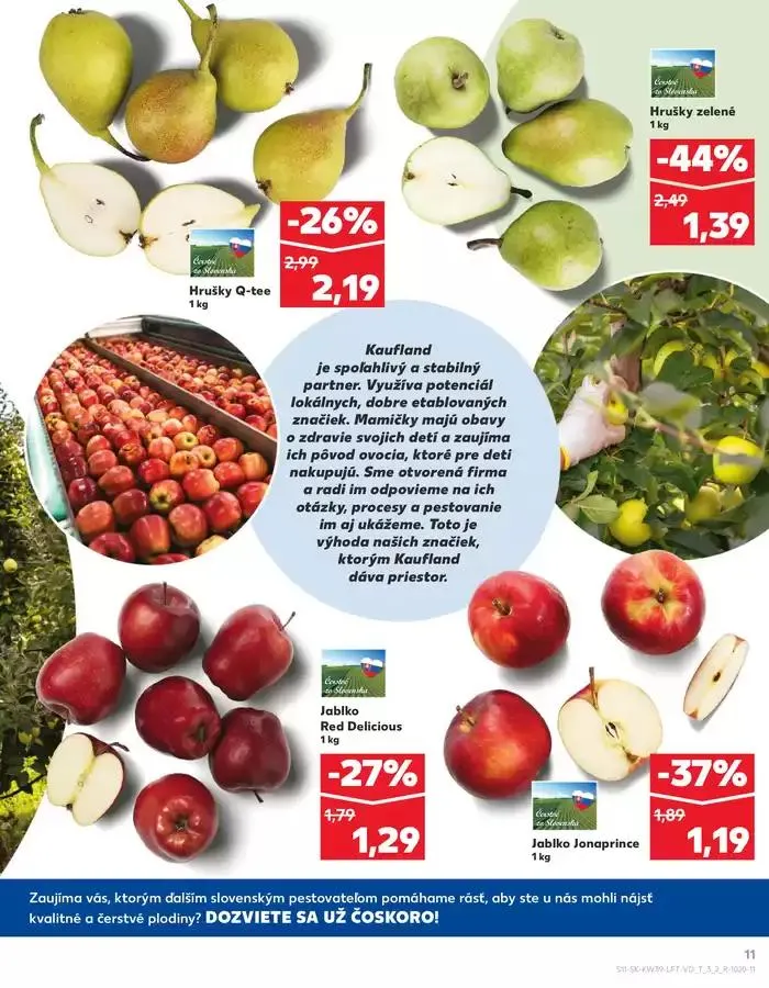 Leták: Naše najlepšie ponuky pre vás od 26. septembra do 2. októbra 2024 - Prehľad Stránky 11
