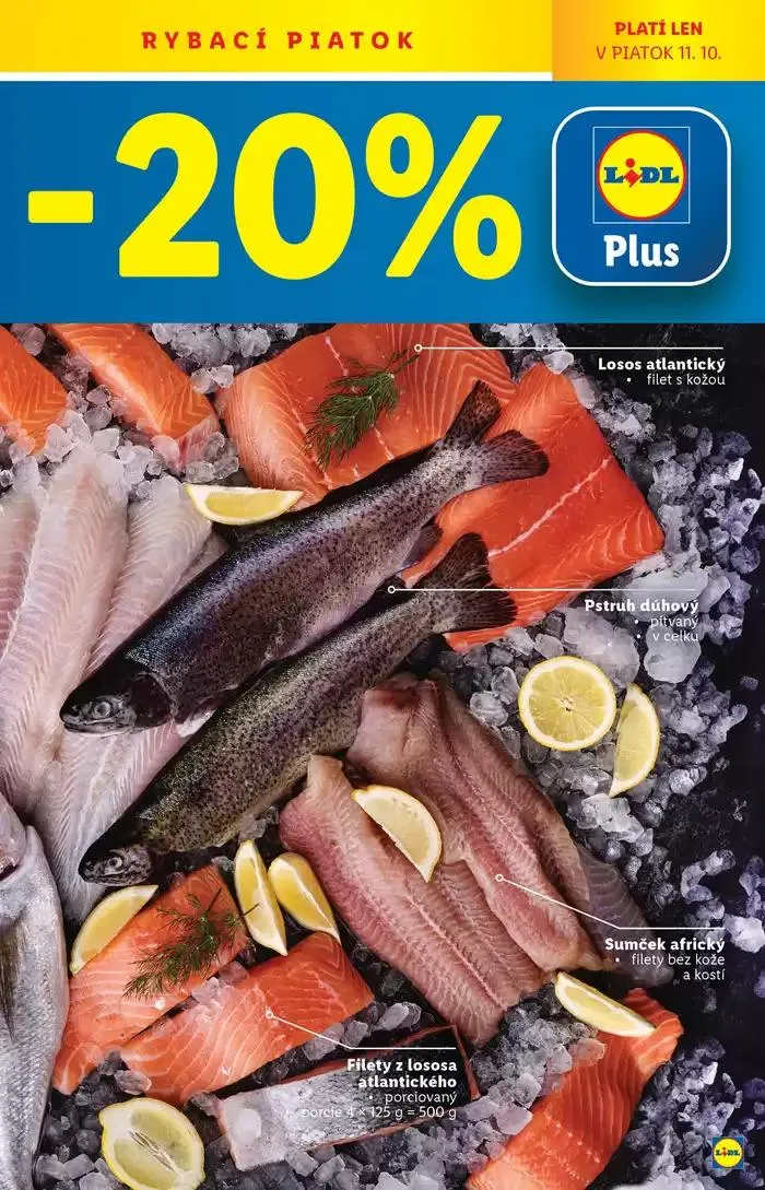 Leták: Platný od štvrtka 10. 10. 2024 od 10. októbra do 13. októbra 2024 - Prehľad Stránky 43