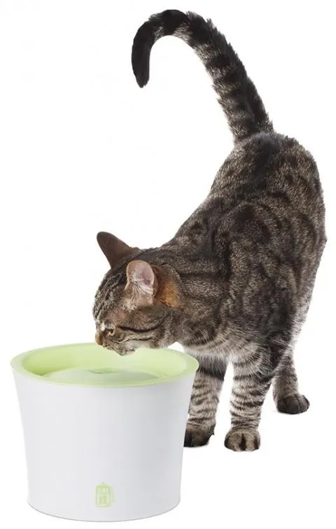 Cat It New fontána 3 l