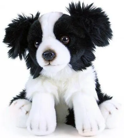 Rappa 198944 Plyšový pes Border kolia sediaci 28cm