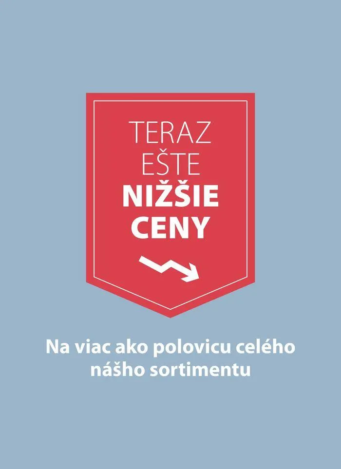 Aktuálny leták - 1