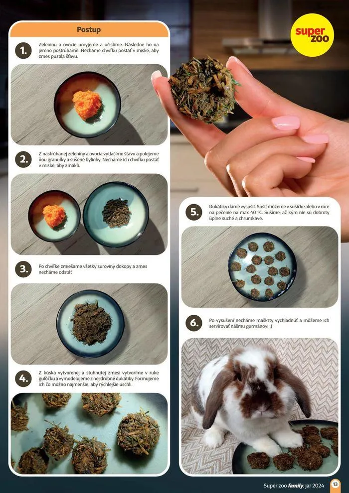 Leták: Super zoo family Jar 2024  od 13. marca do 31. mája 2024 - Prehľad Stránky 13