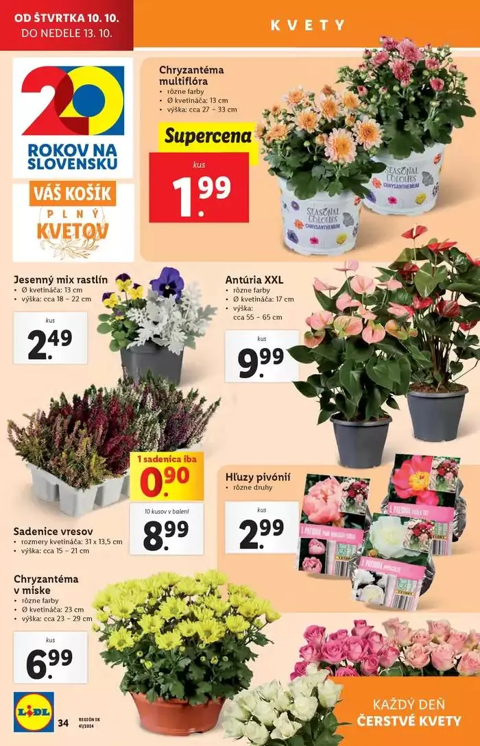 Leták: Platný od štvrtka 10. 10. 2024 od 10. októbra do 13. októbra 2024 - Prehľad Stránky 36