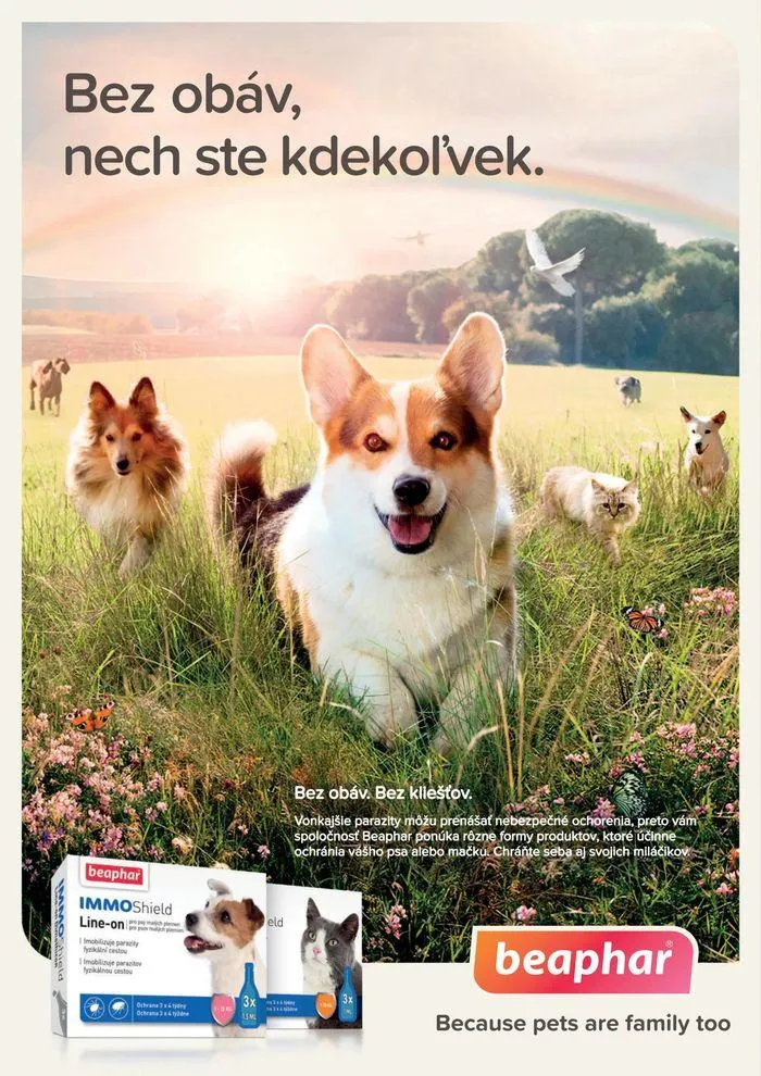 Leták: Super zoo family Jar 2024  od 13. marca do 31. mája 2024 - Prehľad Stránky 4