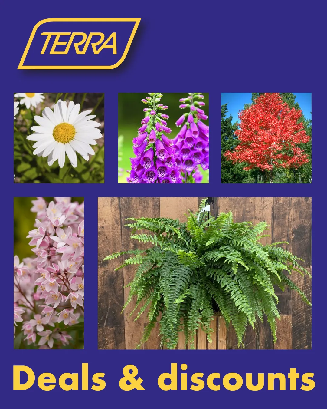 Weekly ads from June 11 to June 30 2025 - flyer page 