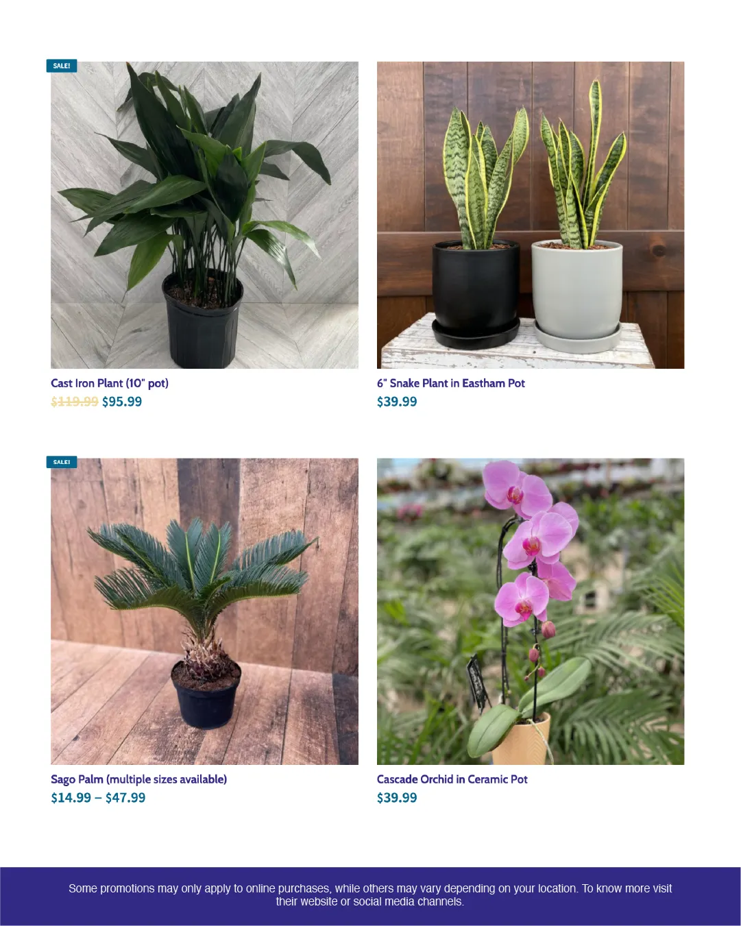 Weekly ads from June 11 to June 30 2025 - flyer page 2