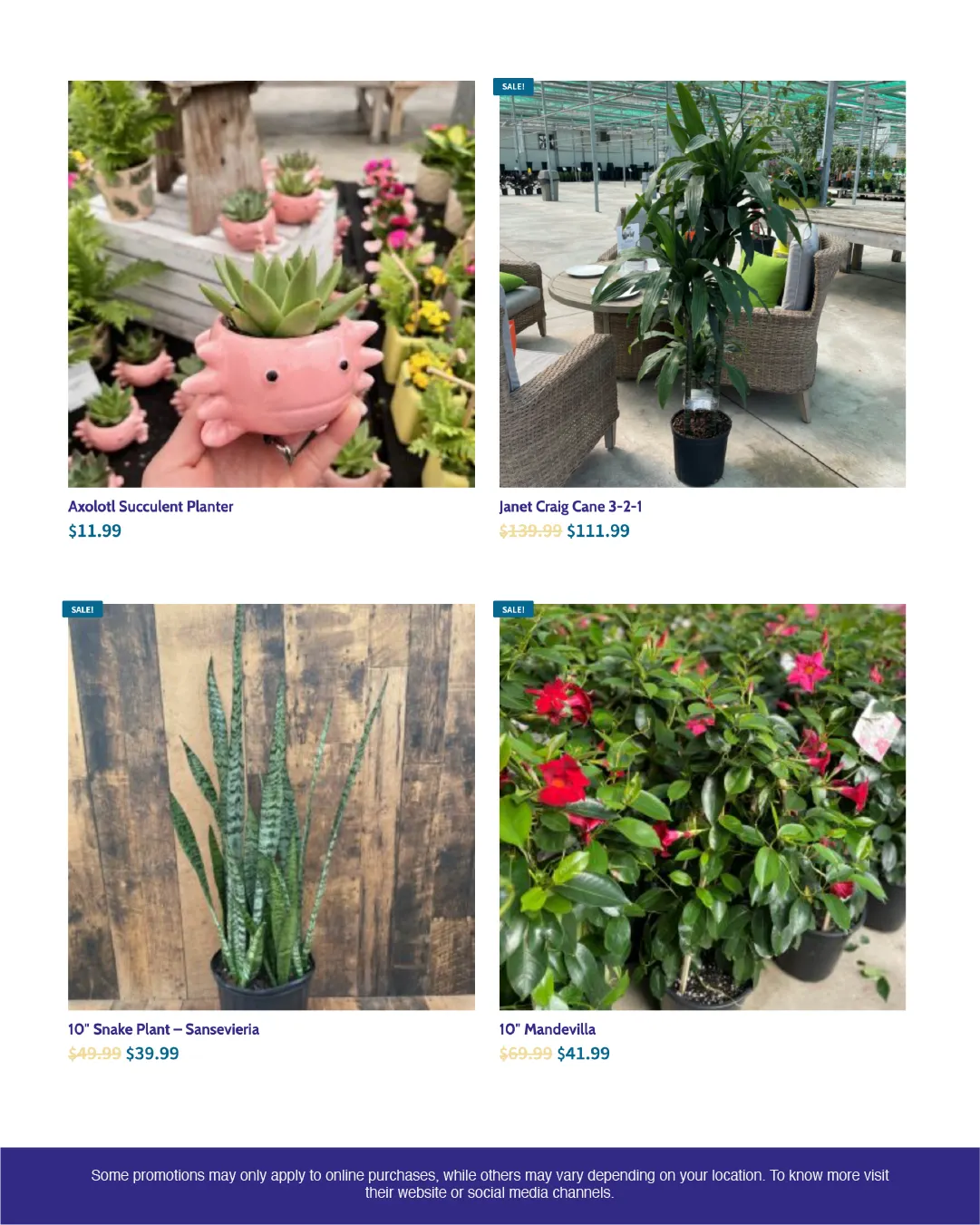 Weekly ads from June 11 to June 30 2025 - flyer page 3