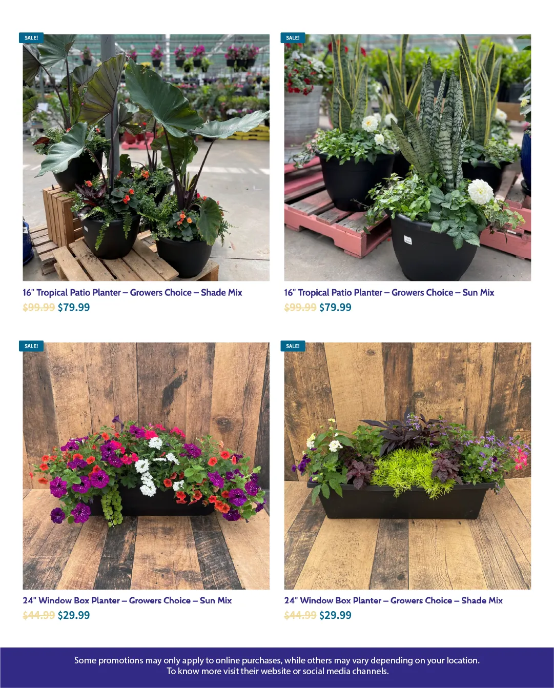 Flyer from July 21 to August 6 2025 - flyer page 3