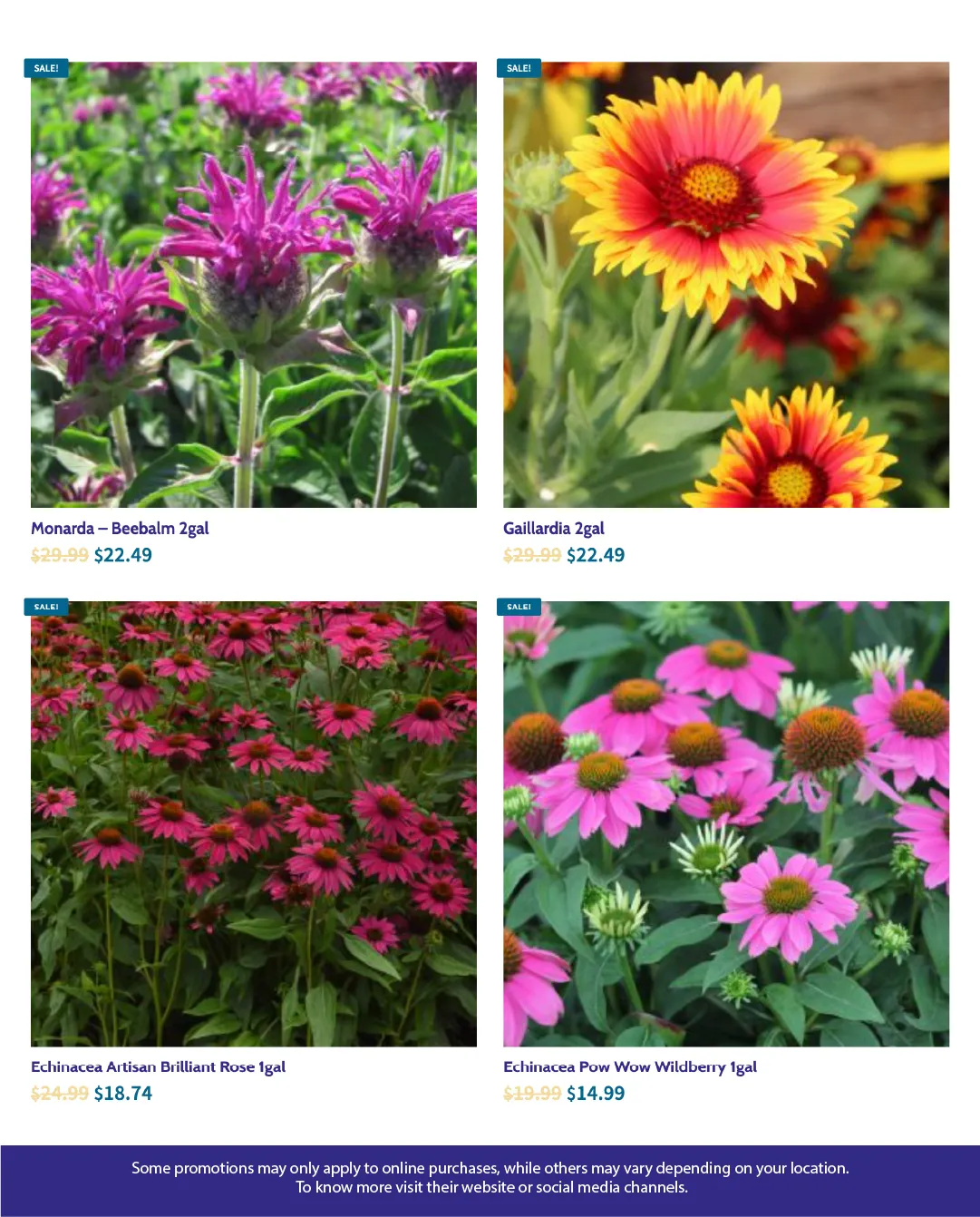 Flyer from August 8 to August 22 2025 - flyer page 3