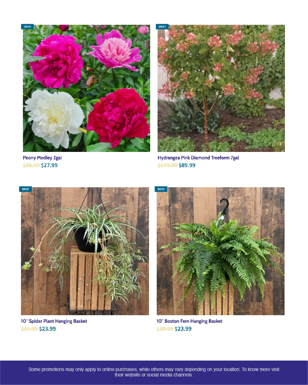 Weekly ads from June 11 to June 30 2025 - flyer page 4