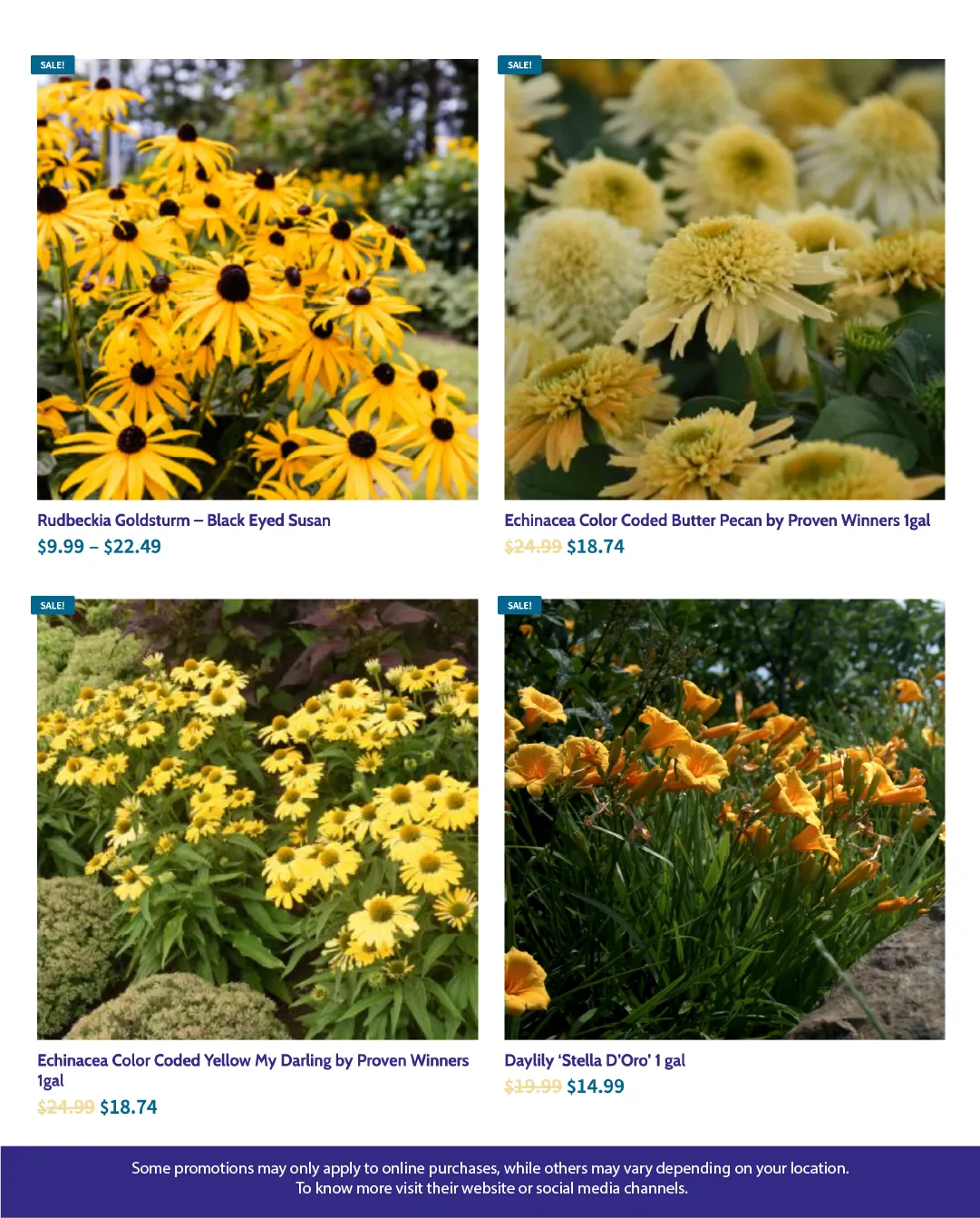 Flyer from July 21 to August 6 2025 - flyer page 4