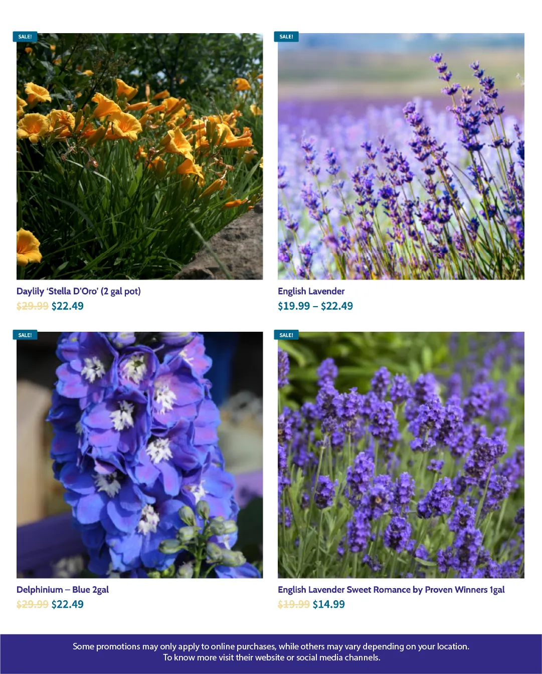 Flyer from August 8 to August 22 2025 - flyer page 5