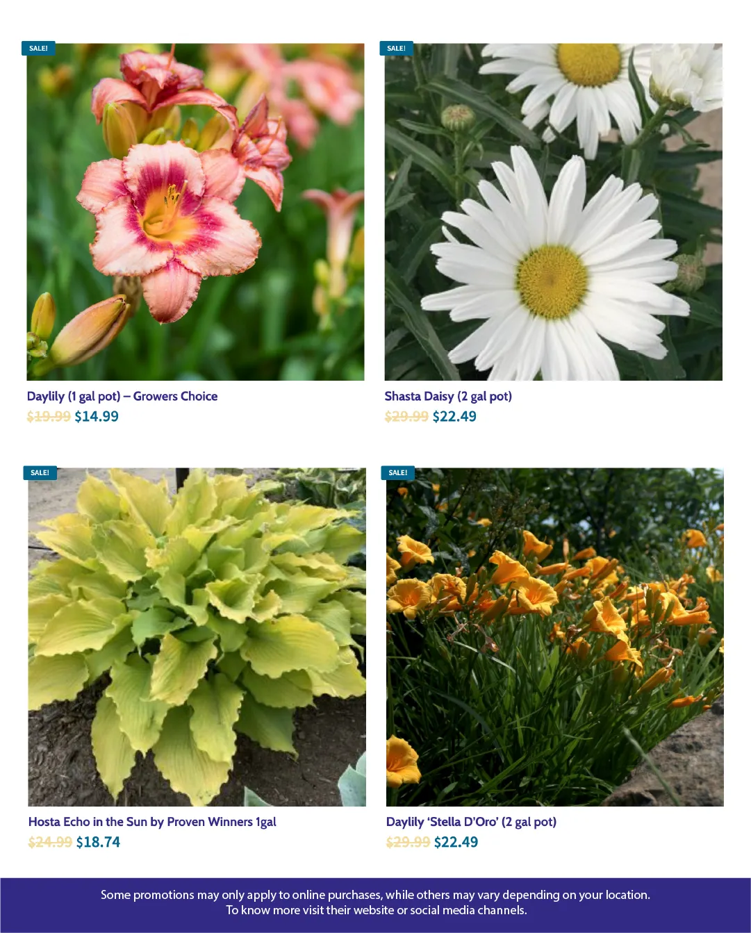 Flyer from July 21 to August 6 2025 - flyer page 5