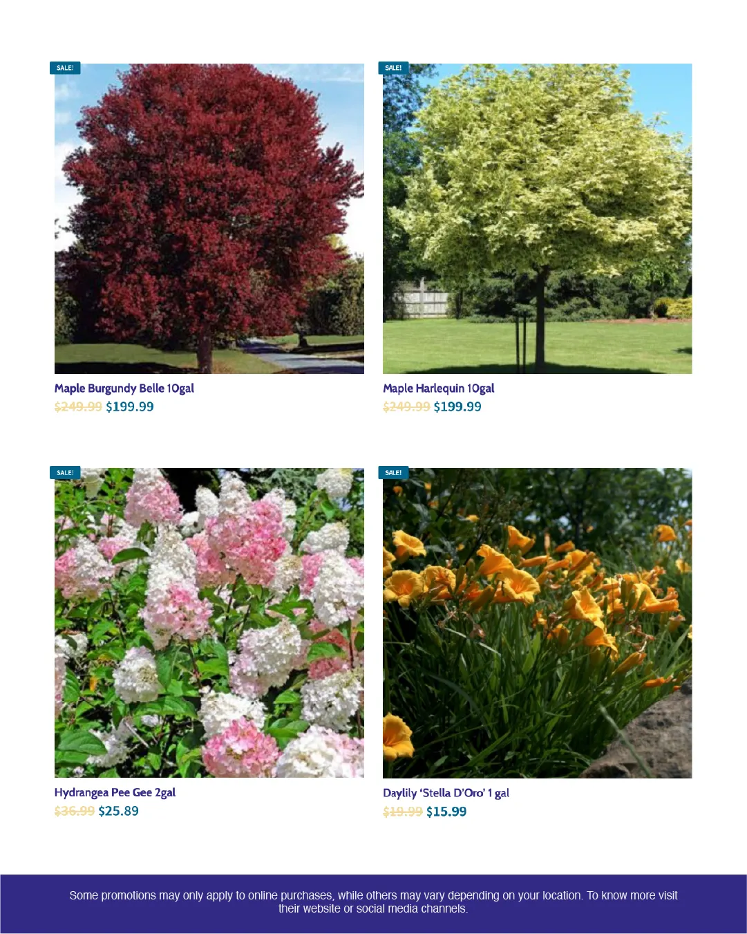 Weekly ads from June 11 to June 30 2025 - flyer page 5