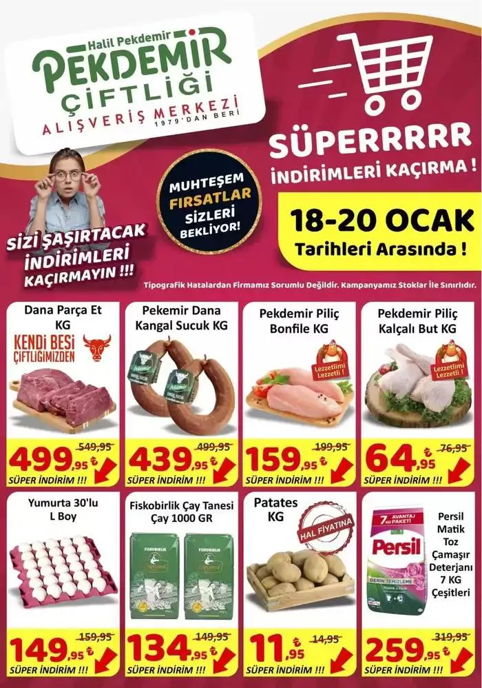 Pekdemir katalog - 1
