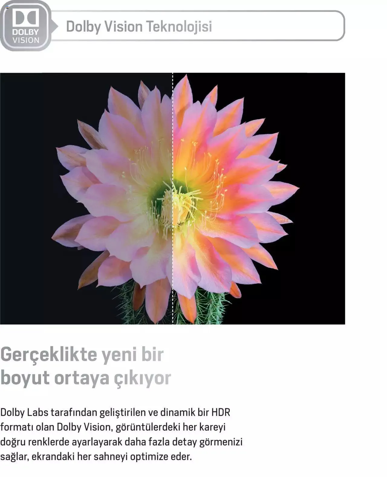 Katalog Arçelik Katalog - TV Ürün Gamı 1 Eylül - 31 Aralık 2023 - aktüel Sayfa 6