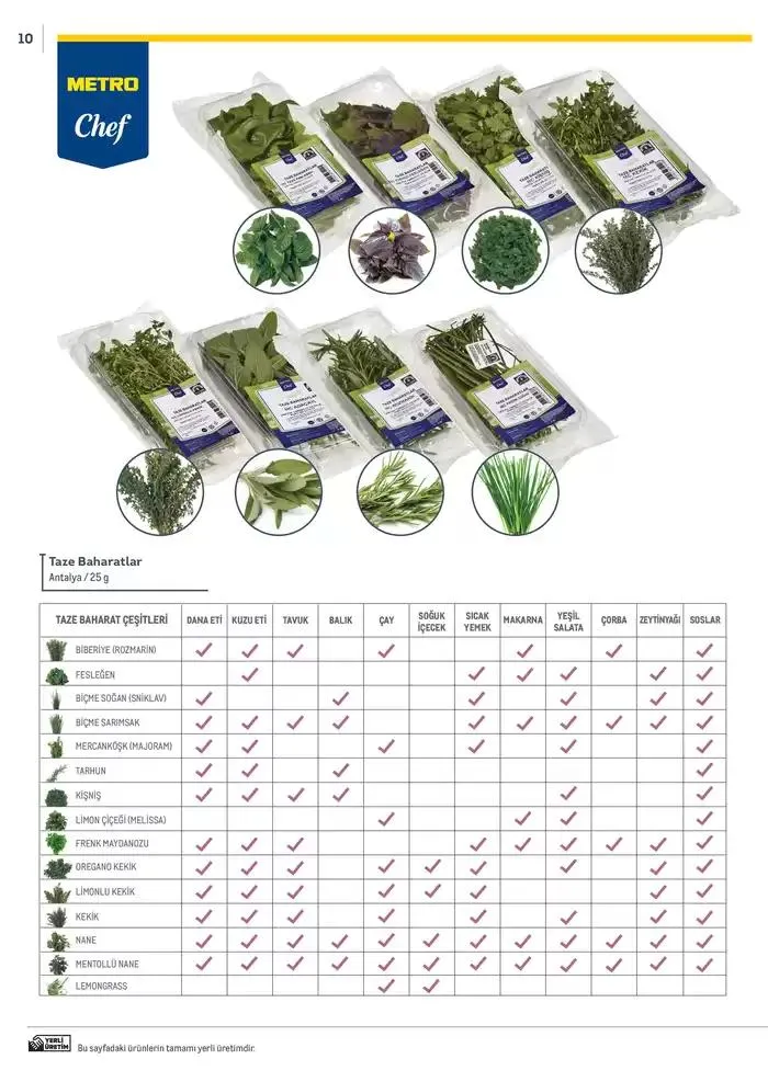 Katalog Metro Markalı Profesyonel Çözümler 7 Şubat - 31 Aralık 2025 - aktüel Sayfa 10
