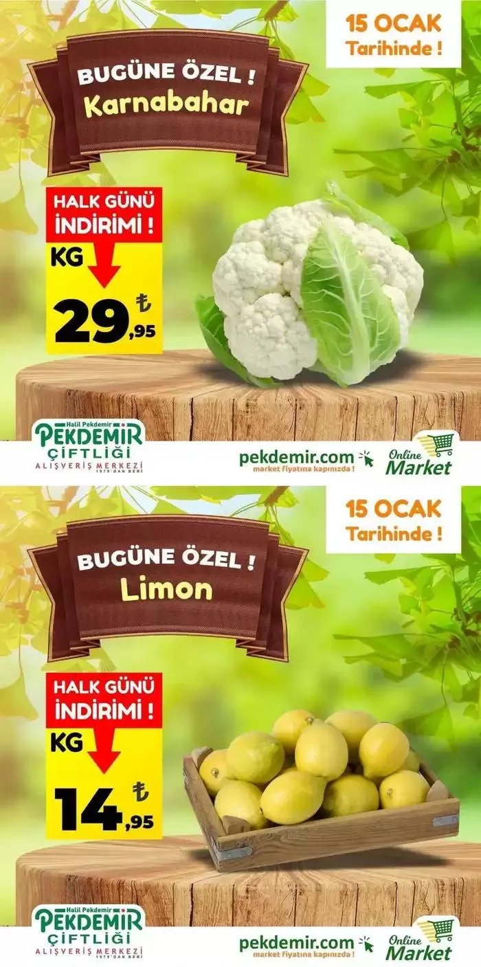 Pekdemir katalog - 1