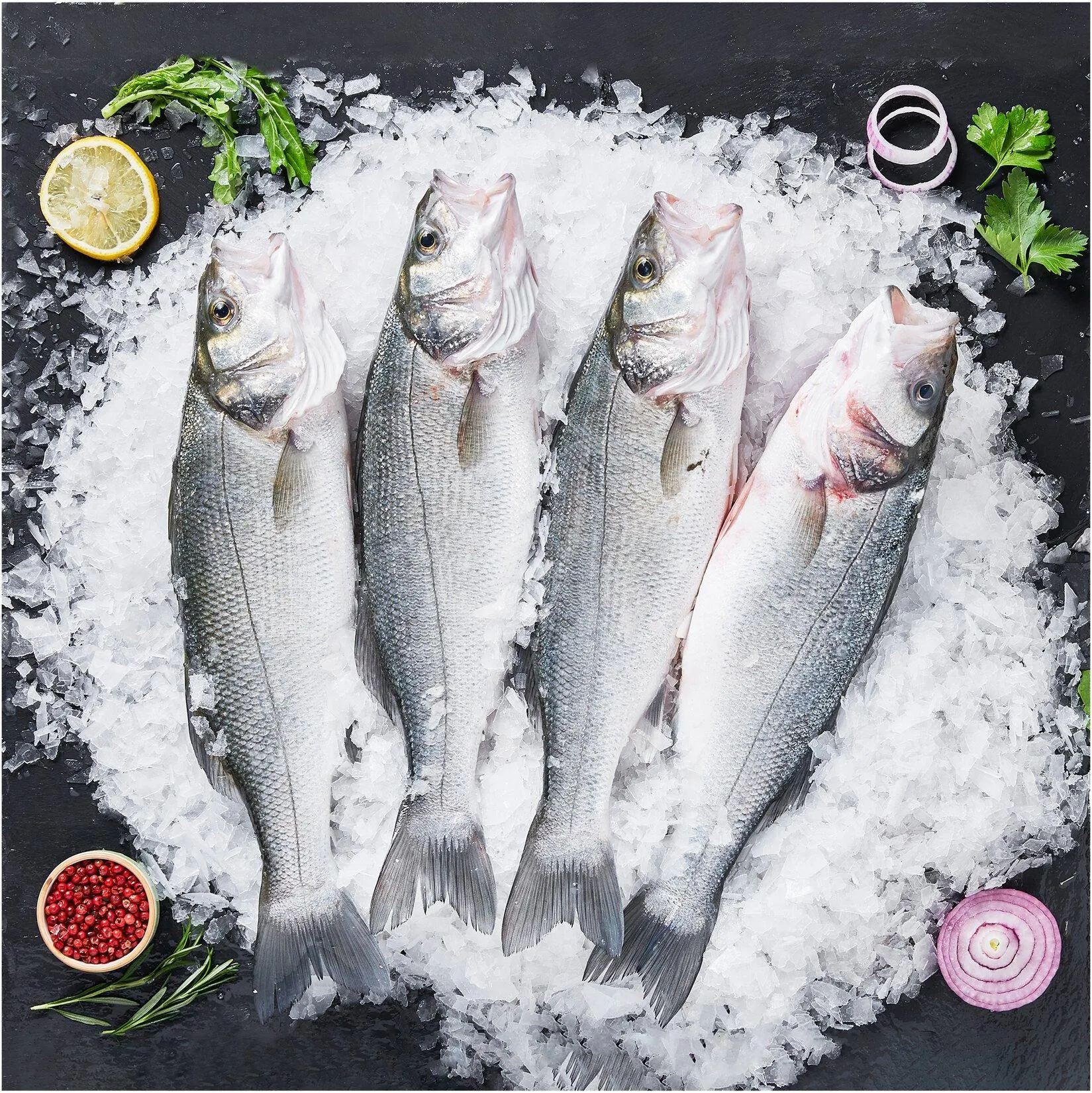 Levrek 800/1000 Kg(m)