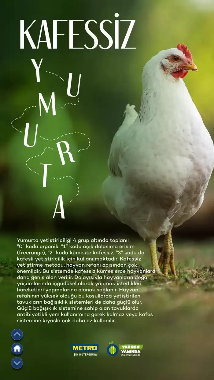 Katalog Sürdürülebilir Ürünler Kataloğu 7 Şubat - 31 Aralık 2025 - aktüel Sayfa 42