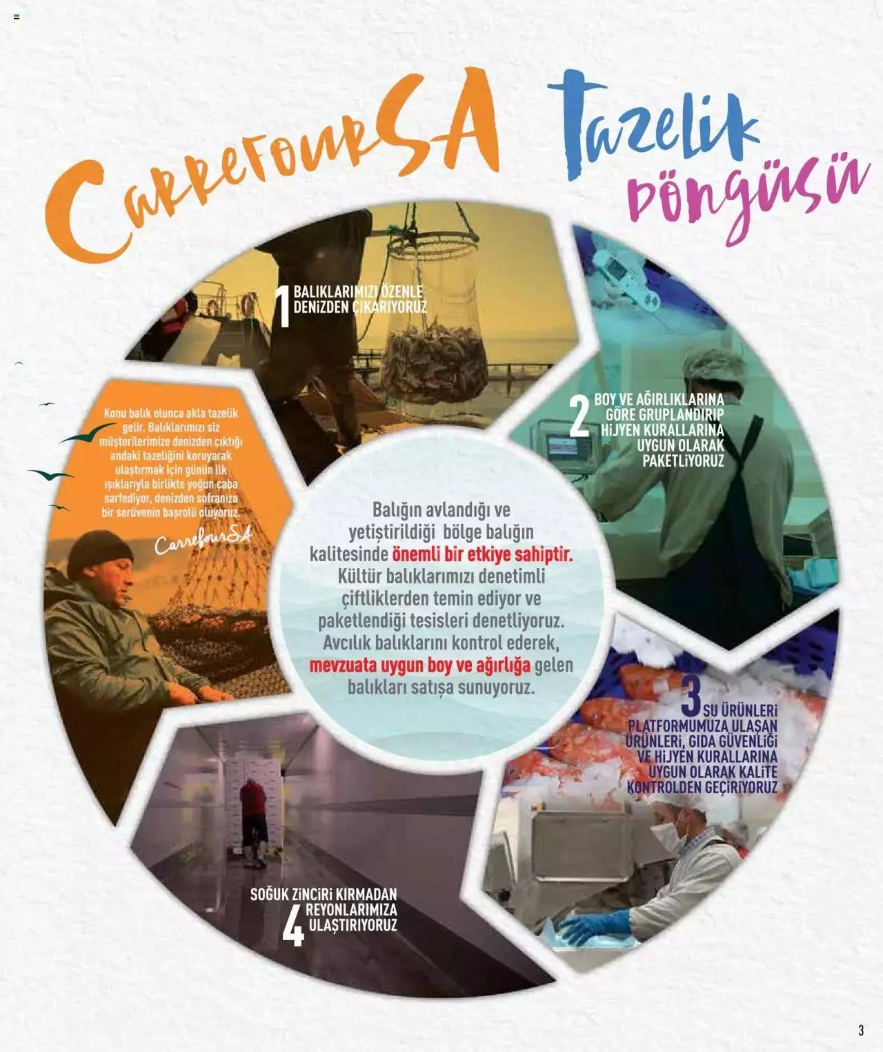 Katalog CarrefourSA Katalog - Tam Mevsiminden Doğru Balık 7 Kasım - 31 Aralık 2023 - aktüel Sayfa 3