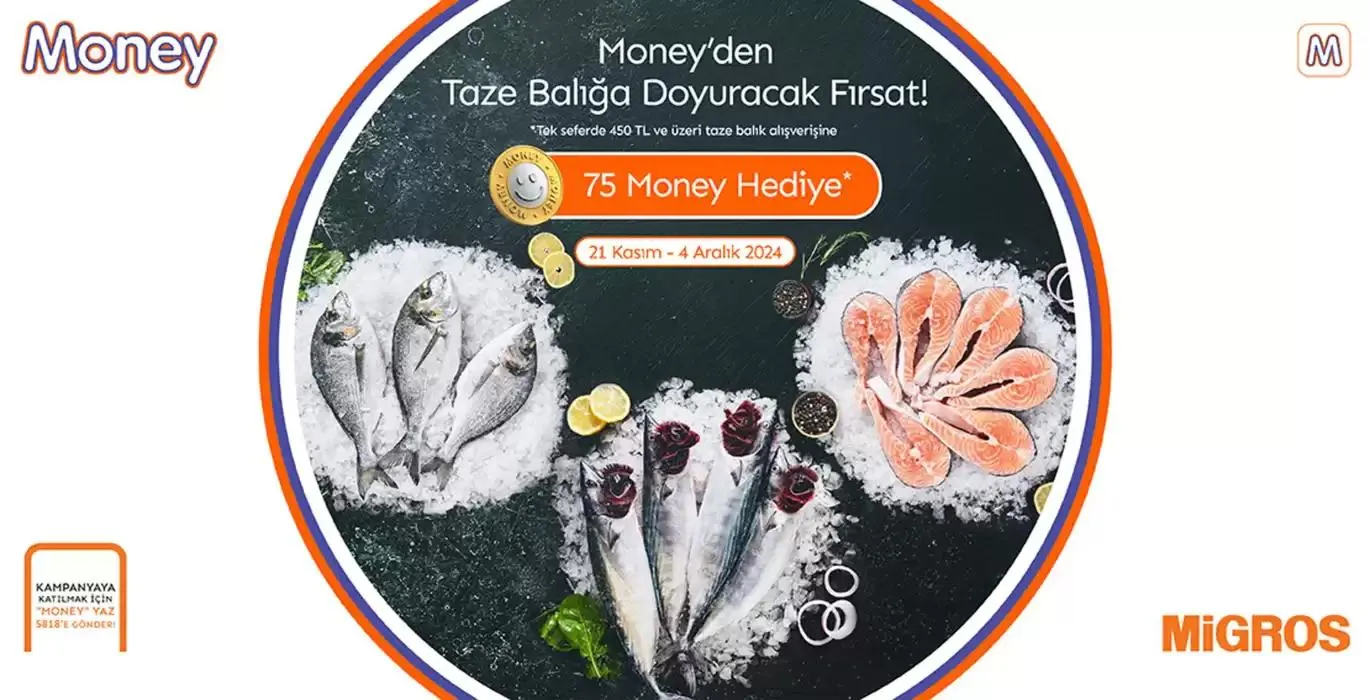 Katalog Seçili ürünlerde harika indirimler 29 Kasım - 13 Aralık 2024 - aktüel Sayfa 3