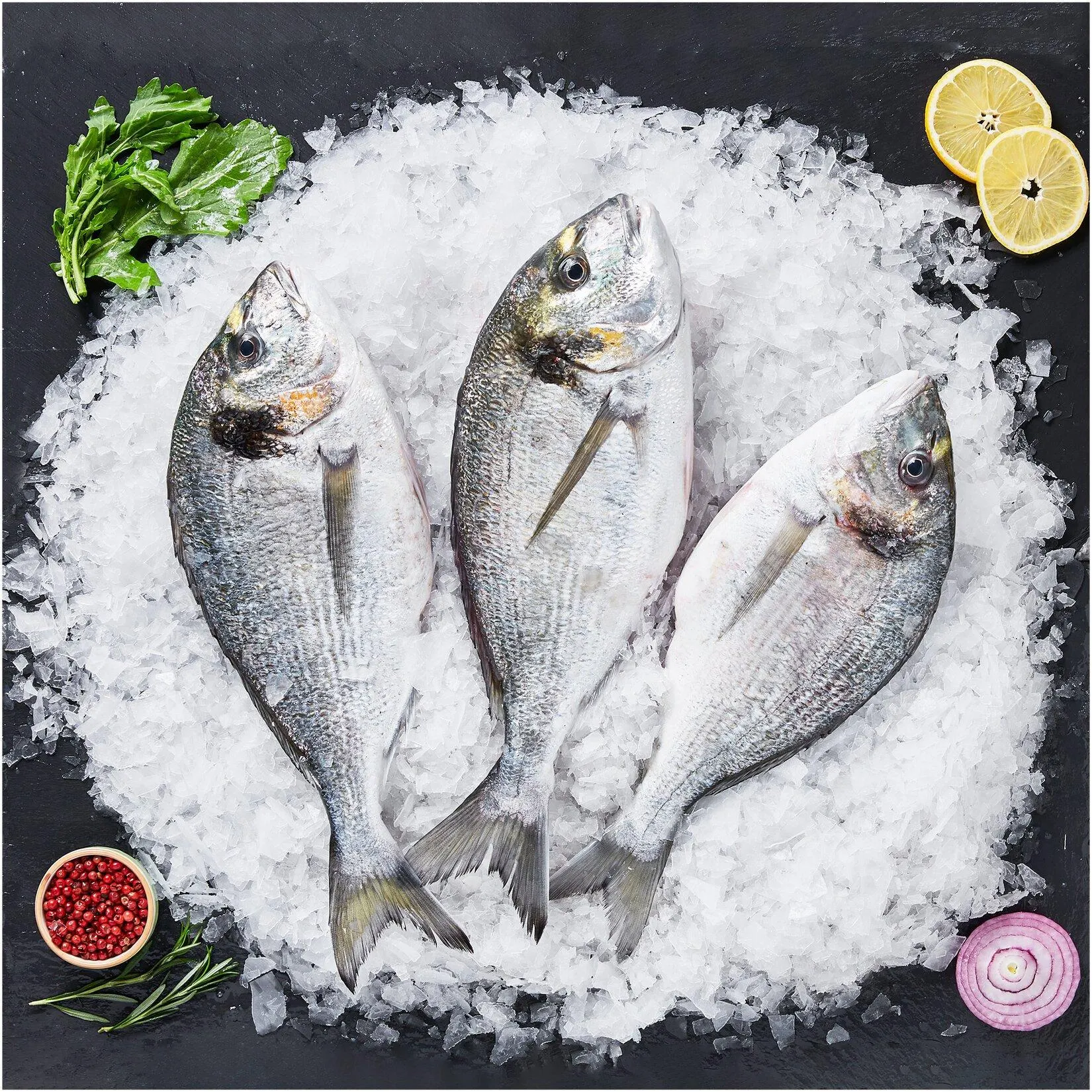 Çipura 1100-1200 Kg(m)