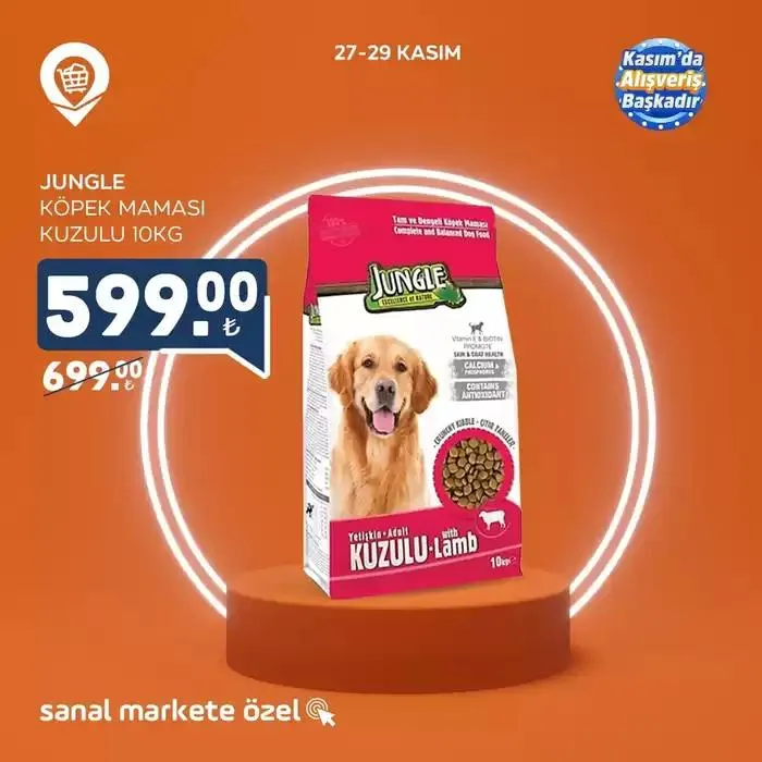 Katalog Seçili ürünlerde harika indirimler 29 Kasım - 13 Aralık 2024 - aktüel Sayfa 7