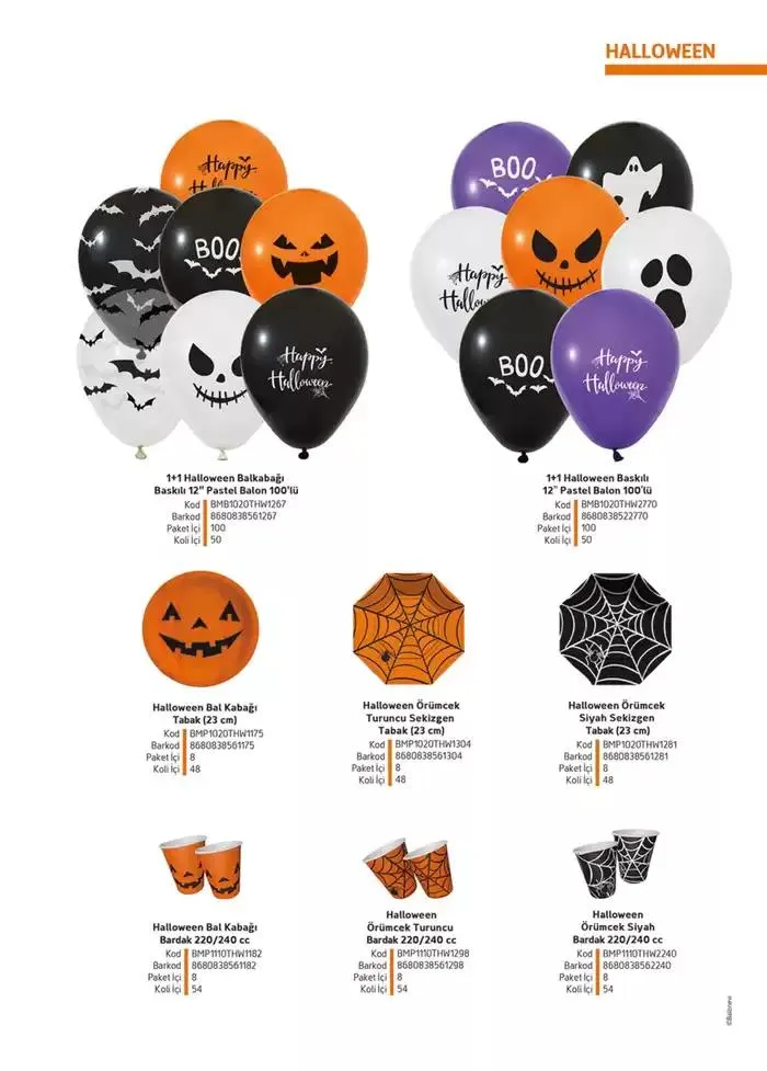 Katalog Ürün Kataloğu 8 Ocak - 8 Şubat 2025 - aktüel Sayfa 119