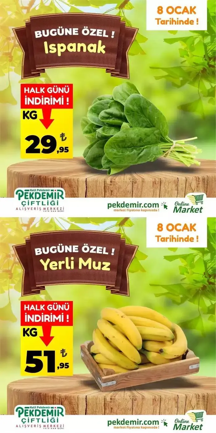Pekdemir katalog - 1