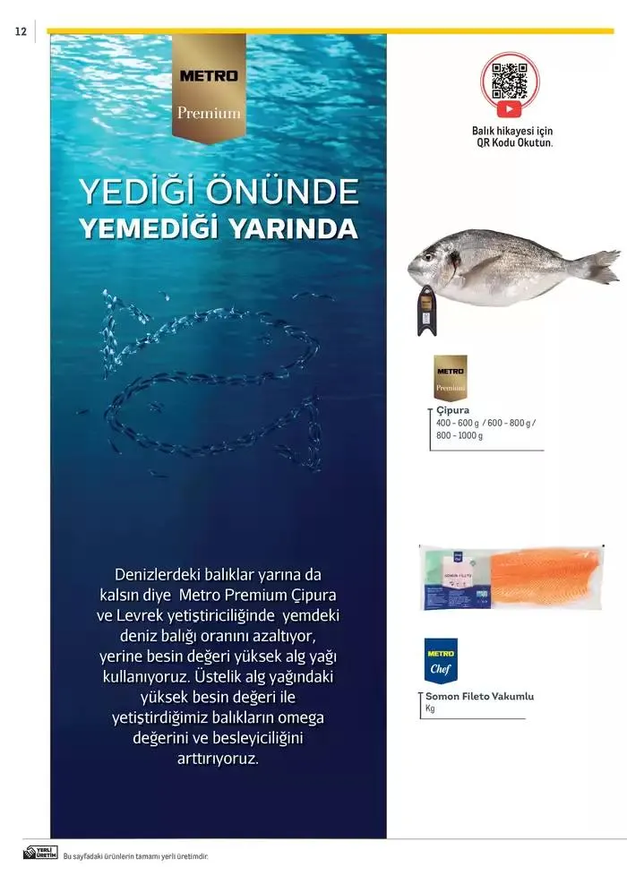 Katalog Metro Markalı Profesyonel Çözümler 7 Şubat - 31 Aralık 2025 - aktüel Sayfa 12