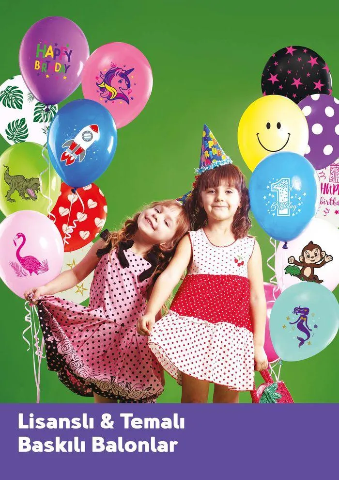 Katalog Ürün Kataloğu 15 Ocak - 31 Aralık 2024 - aktüel Sayfa 15