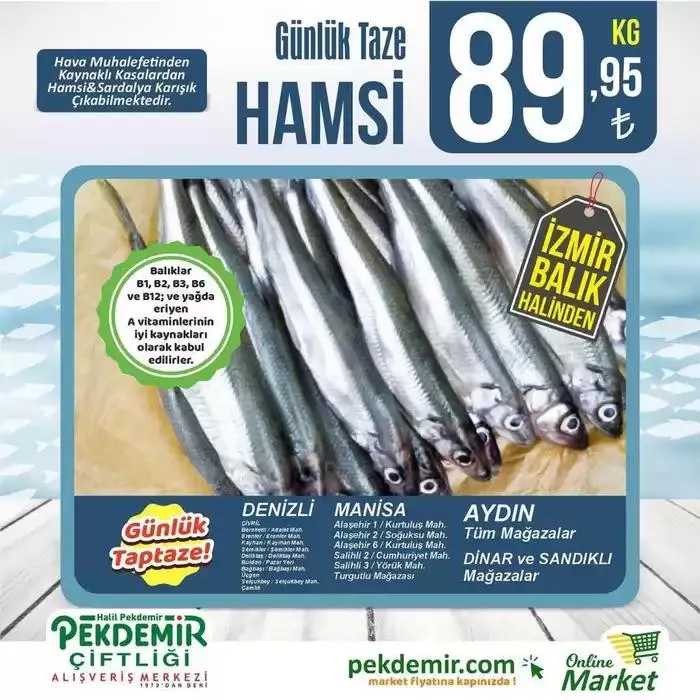 Pekdemir katalog - 1