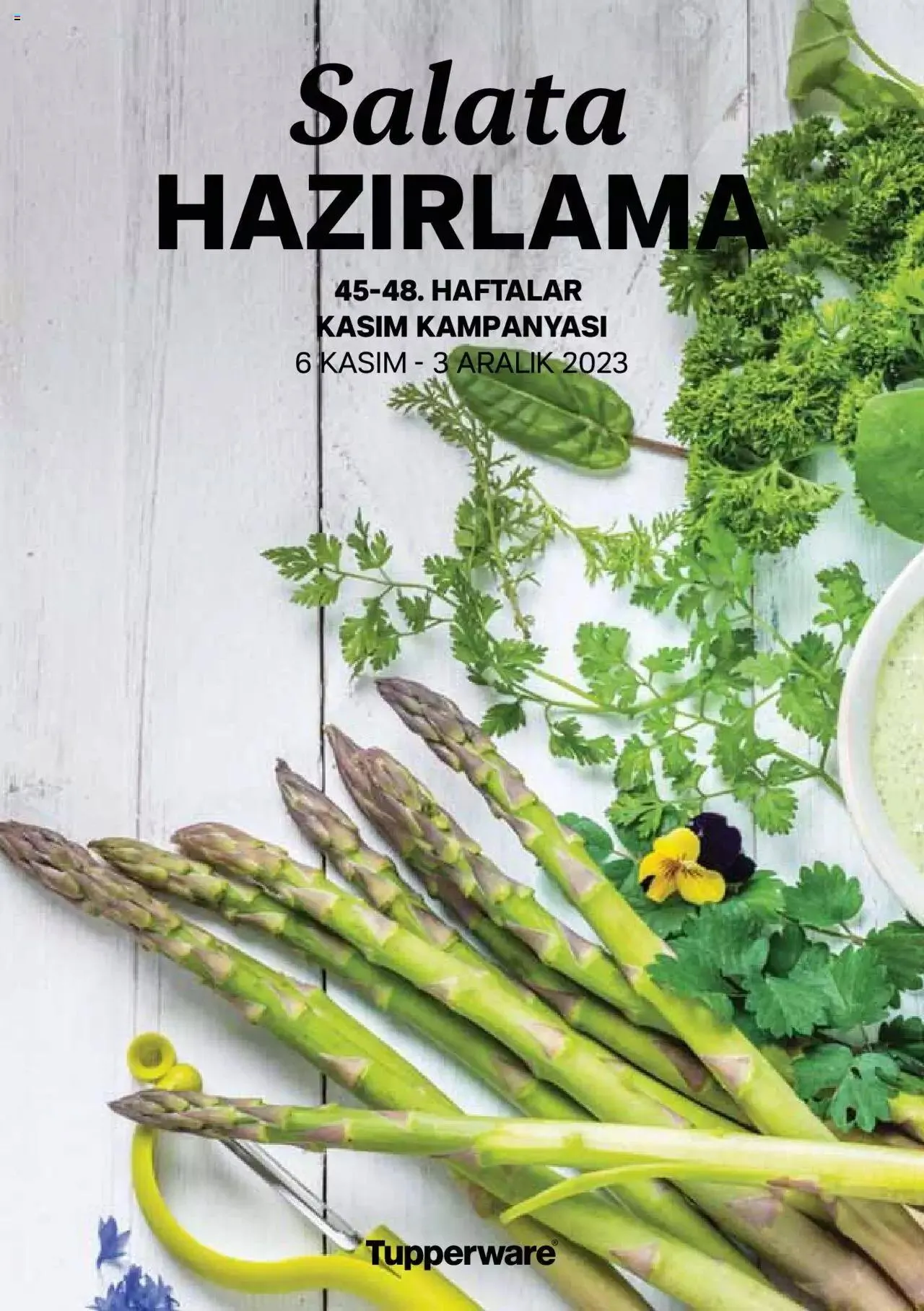 Katalog Tupperware Fırsat Ürünleri 1 Kasım - 30 Kasım 2023 - aktüel Sayfa 30