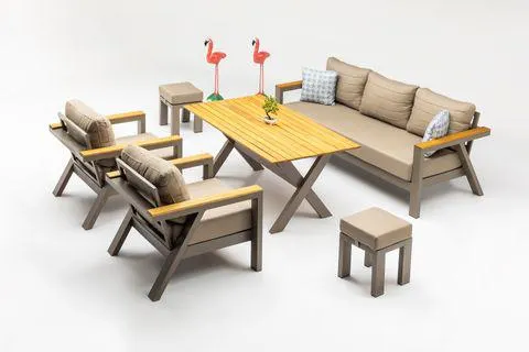 DAİSY BAHÇE TAKIMI, CAPPUCCİNO (DV4-253)