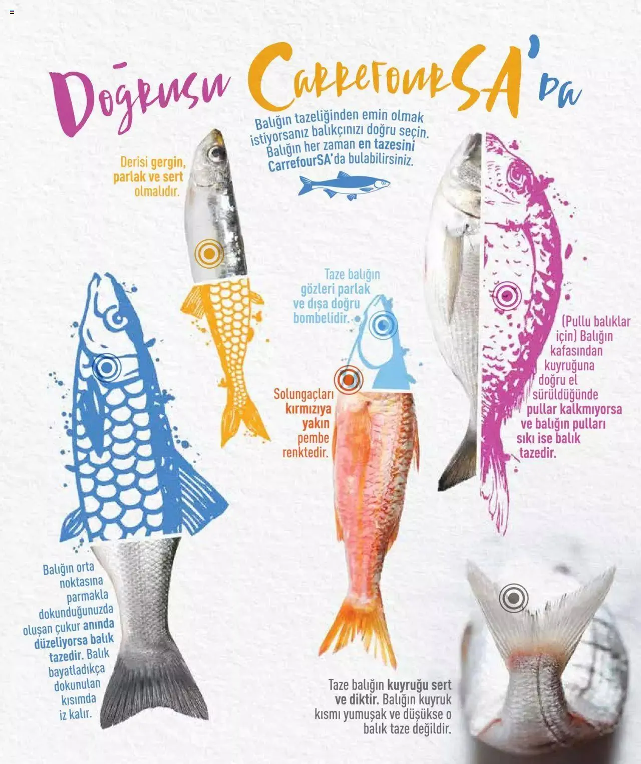 Katalog CarrefourSA Katalog - Tam Mevsiminden Doğru Balık 7 Kasım - 31 Aralık 2023 - aktüel Sayfa 4