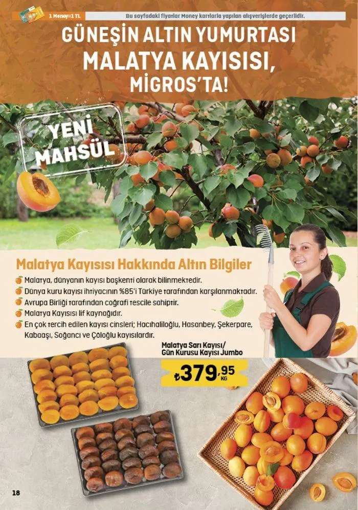 Katalog Migros katalog 29 Ağustos - 11 Eylül 2024 - aktüel Sayfa 18