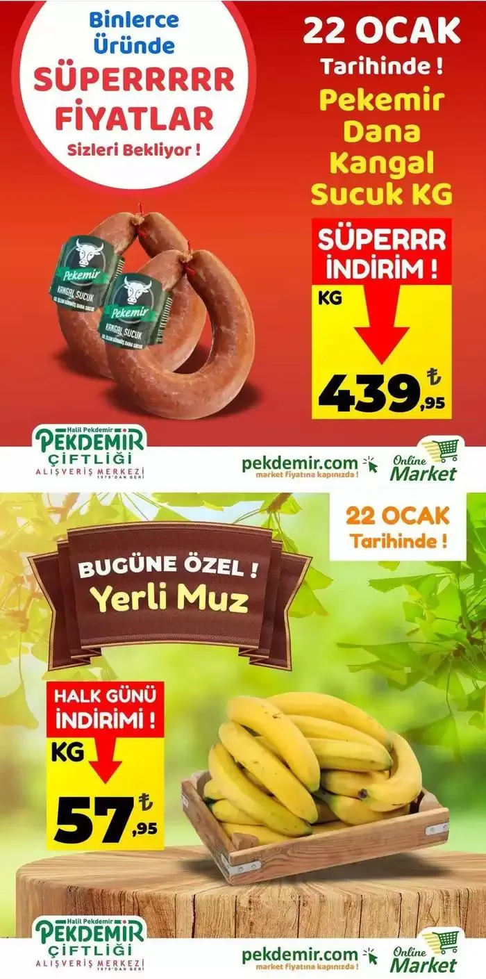 Pekdemir katalog - 1