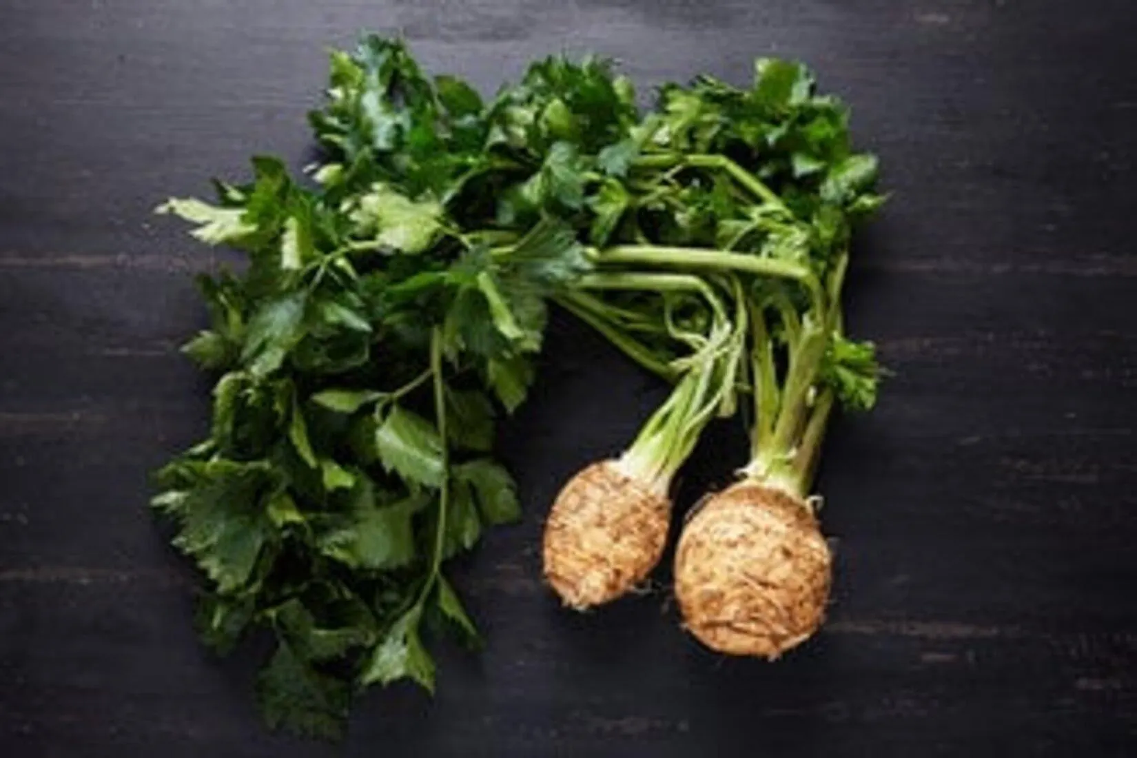 Tazedirekt Kereviz Kg