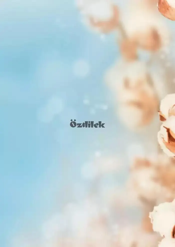 Katalog OTEL VE SPA TEKSTILI 2025 KOLEKSIYONU 8 Ocak - 31 Aralık 2025 - aktüel Sayfa 2