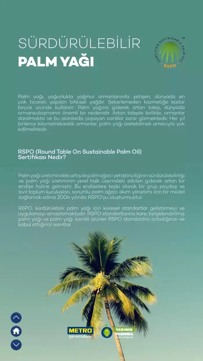 Katalog Sürdürülebilir Ürünler Kataloğu 7 Şubat - 31 Aralık 2025 - aktüel Sayfa 13