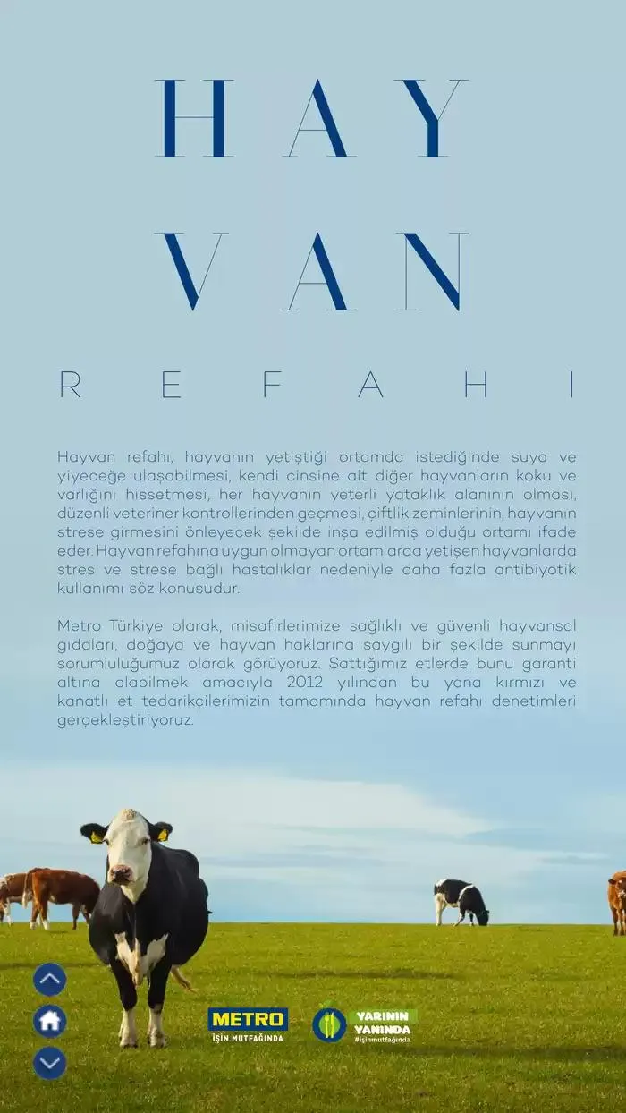 Katalog Sürdürülebilir Ürünler Kataloğu 7 Şubat - 31 Aralık 2025 - aktüel Sayfa 19