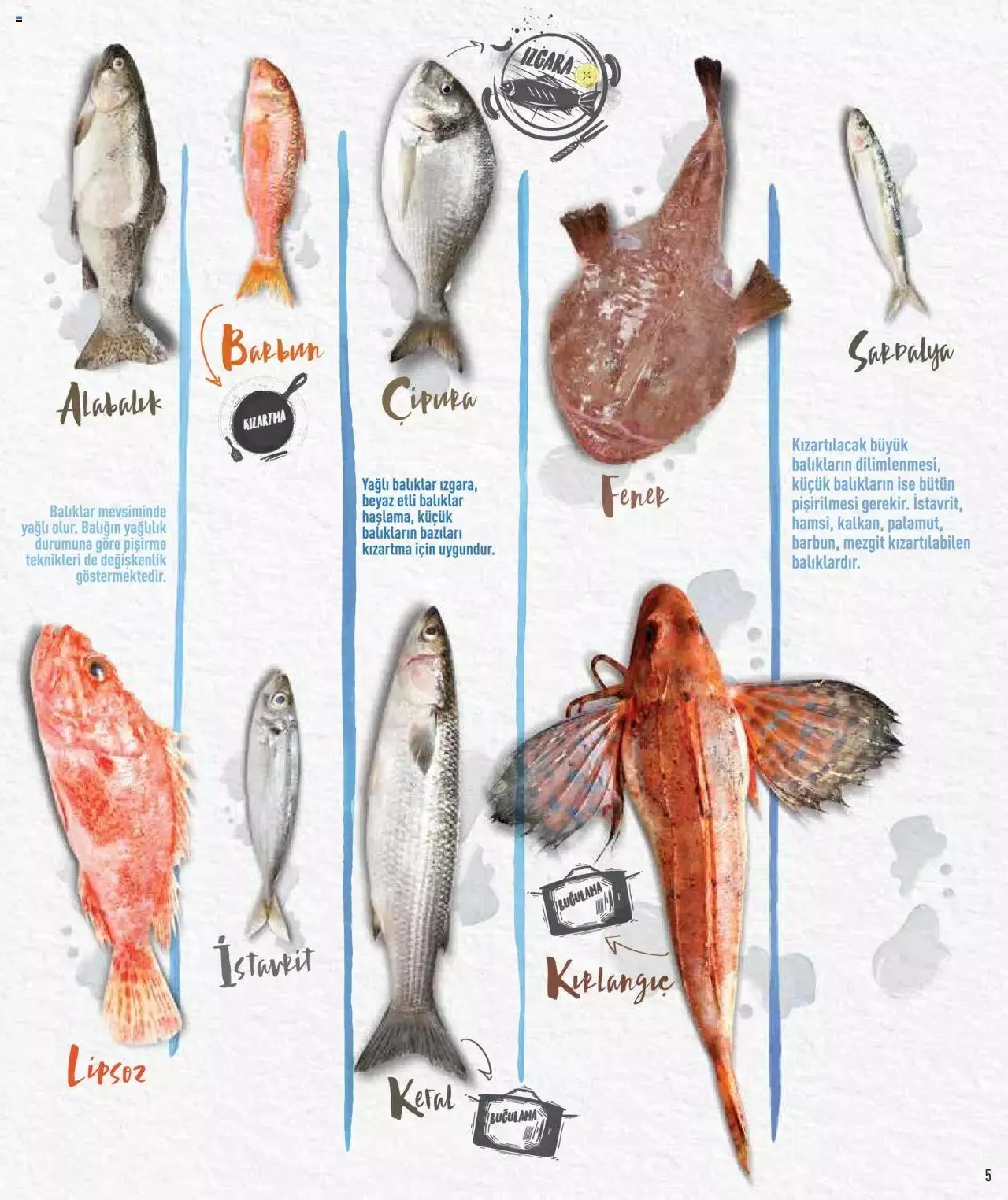 Katalog CarrefourSA Katalog - Tam Mevsiminden Doğru Balık 7 Kasım - 31 Aralık 2023 - aktüel Sayfa 5