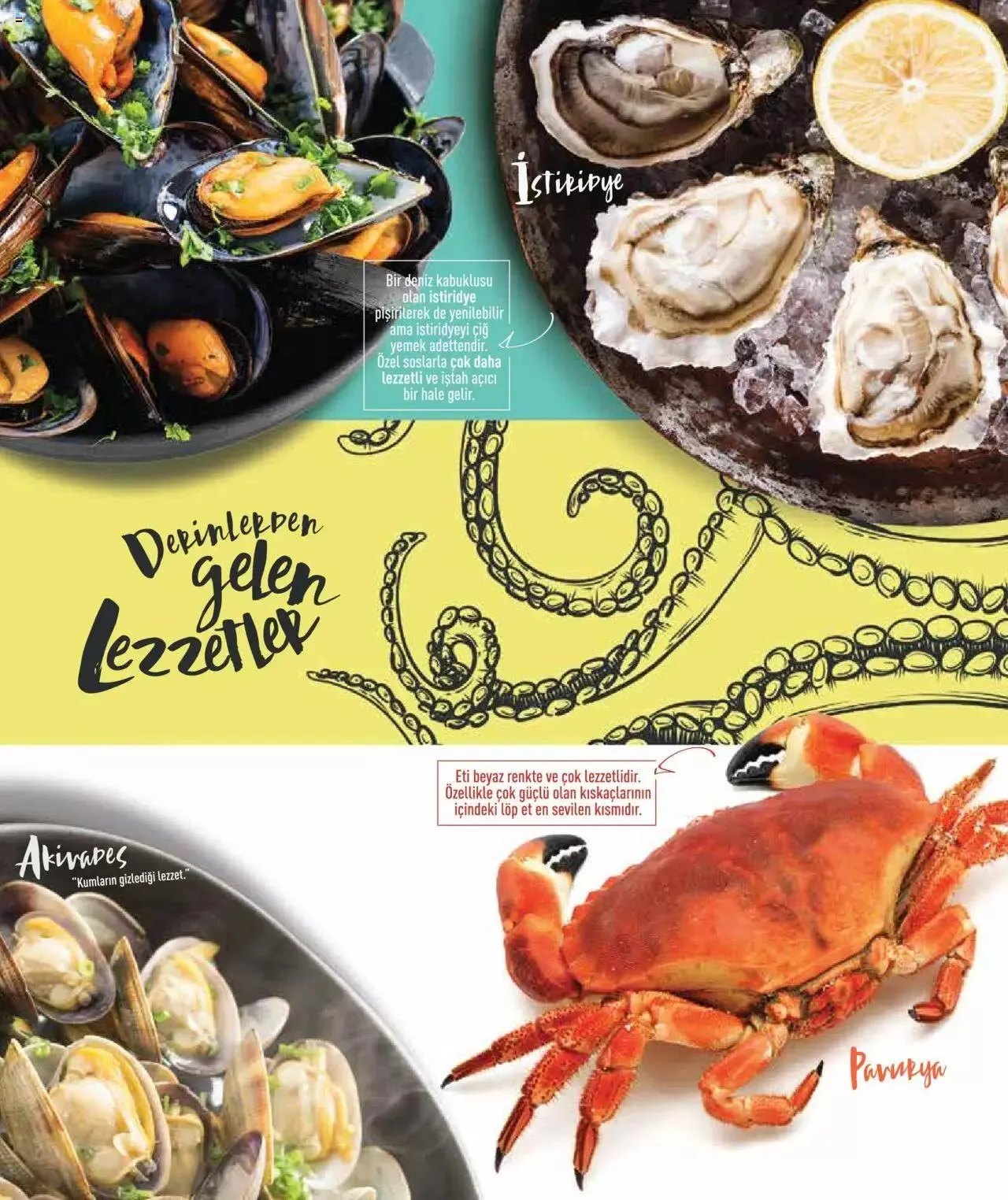 Katalog CarrefourSA Katalog - Tam Mevsiminden Doğru Balık 7 Kasım - 31 Aralık 2023 - aktüel Sayfa 10