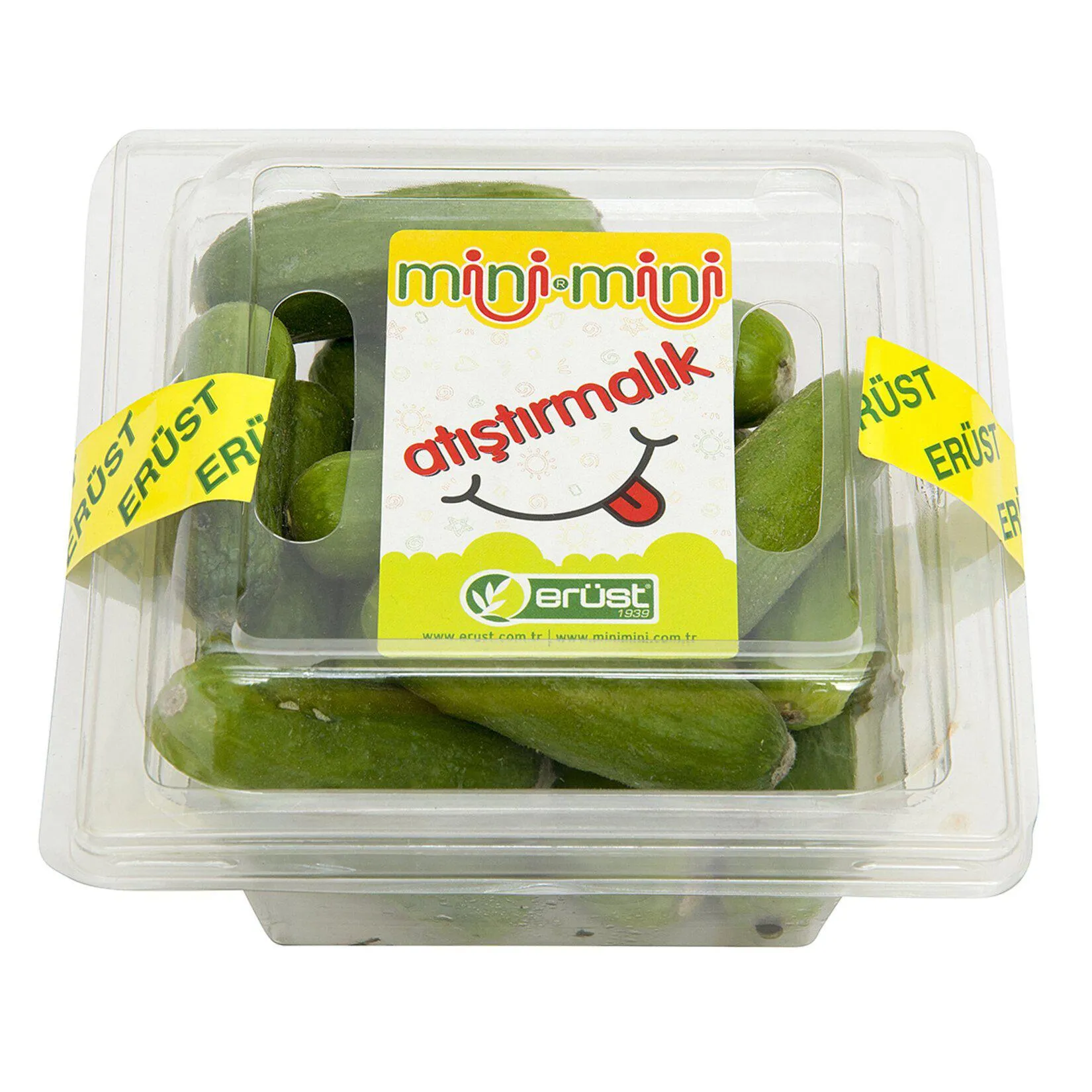 Erüst Mini Mini Hıyar 250 G