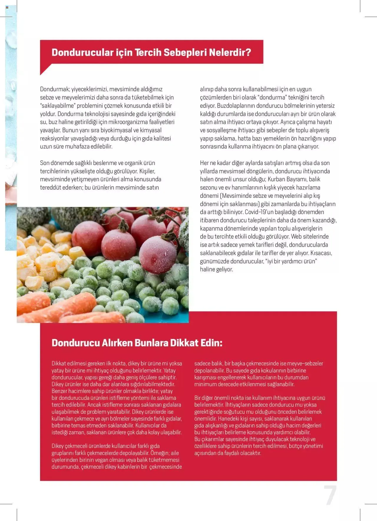 Katalog Arçelik Katalog - Dondurucu Kullanımında Püf Noktaları 16 Mart - 31 Aralık 2023 - aktüel Sayfa 7