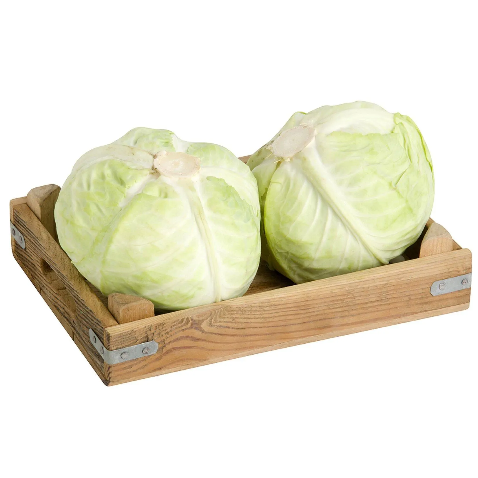 Organik Lahana Beyaz Kg