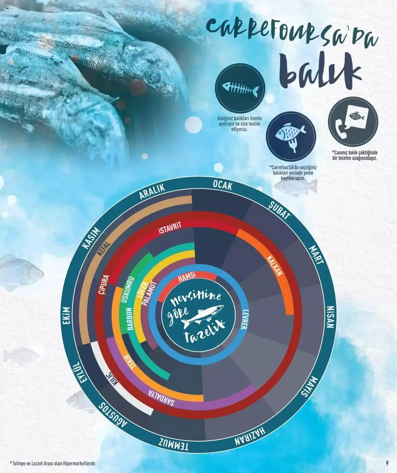 Katalog CarrefourSA Katalog - Tam Mevsiminden Doğru Balık 7 Kasım - 31 Aralık 2023 - aktüel Sayfa 9